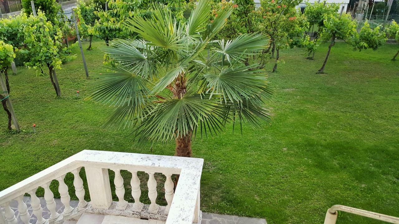 Casa Del Vigneto - New Near Venice - Rooms+Bathroom - Independent Spinea Extérieur photo